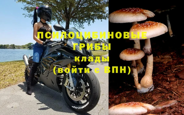 амф Горнозаводск