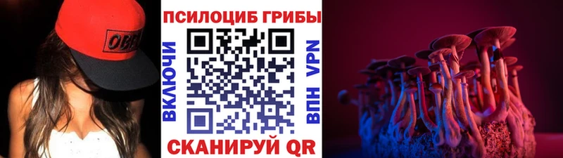 что такое наркотик  Козельск  Псилоцибиновые грибы MAGIC MUSHROOMS 